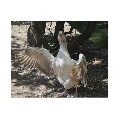 Goose With Wings Wide Open Canvas