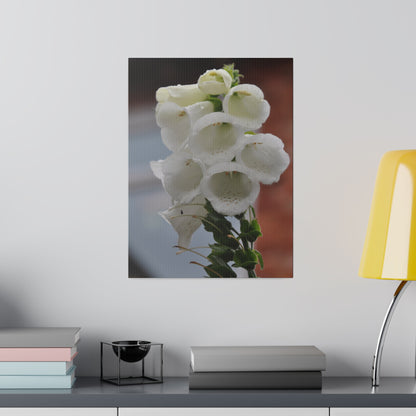 White Foxglove Flowers With Blurred Background Canvas