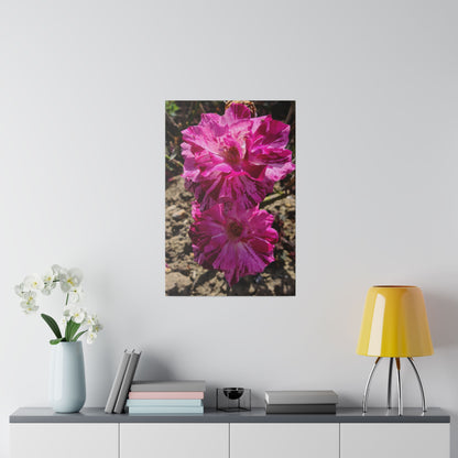 Two Pink French Roses Canvas Print - The Trio Synergize Group