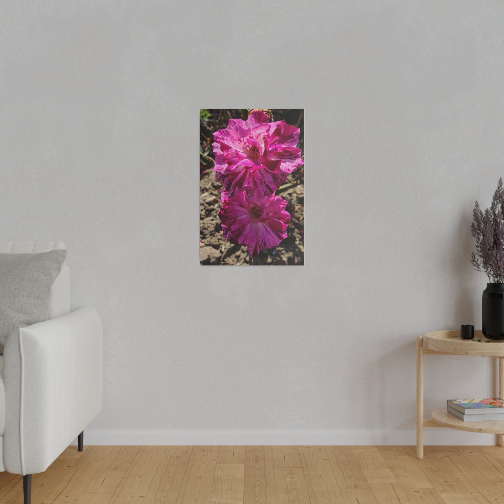 Two Pink French Roses Canvas Print - The Trio Synergize Group