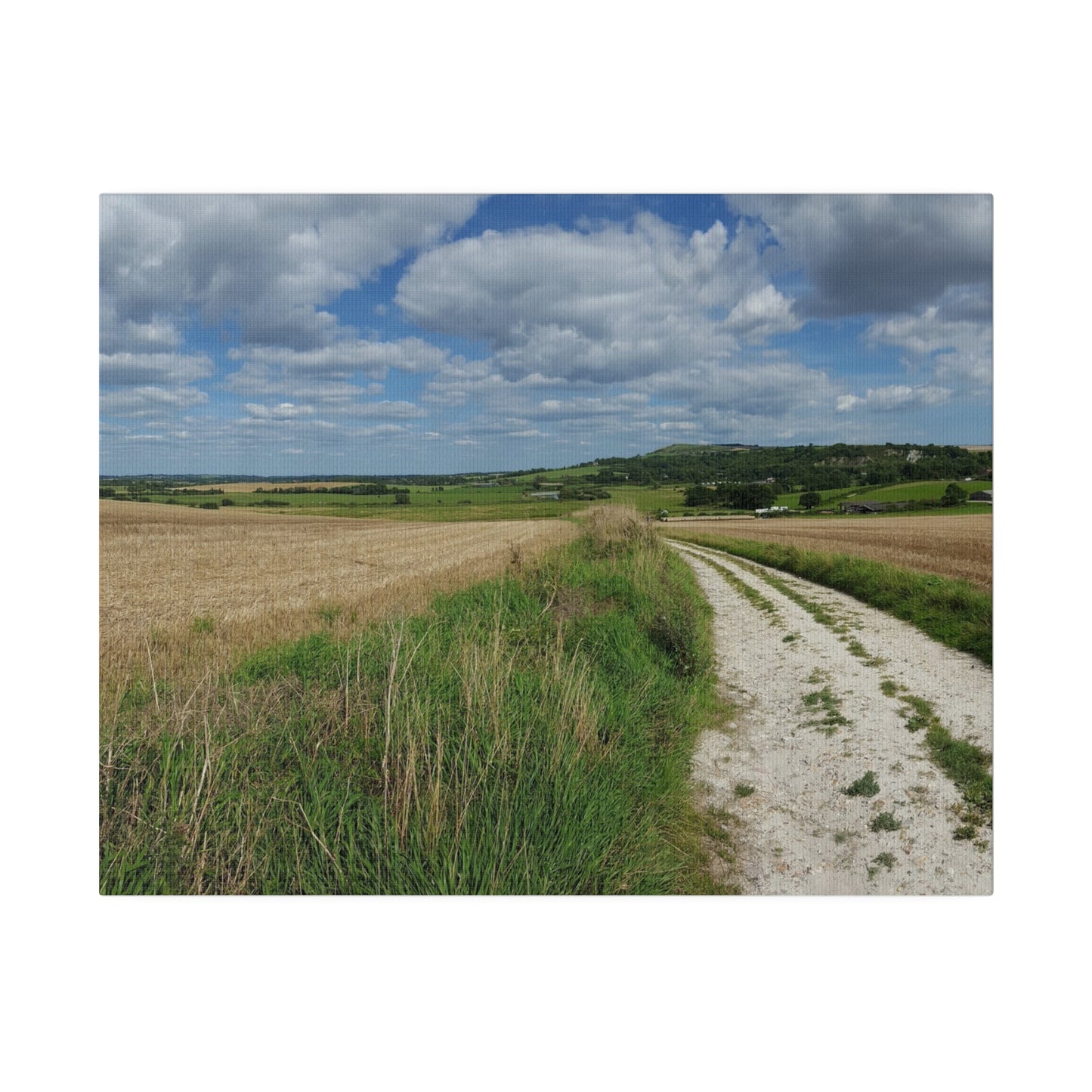 Countryside Field Landscape With Hill In The Background and Fluffy Clouds Canvas