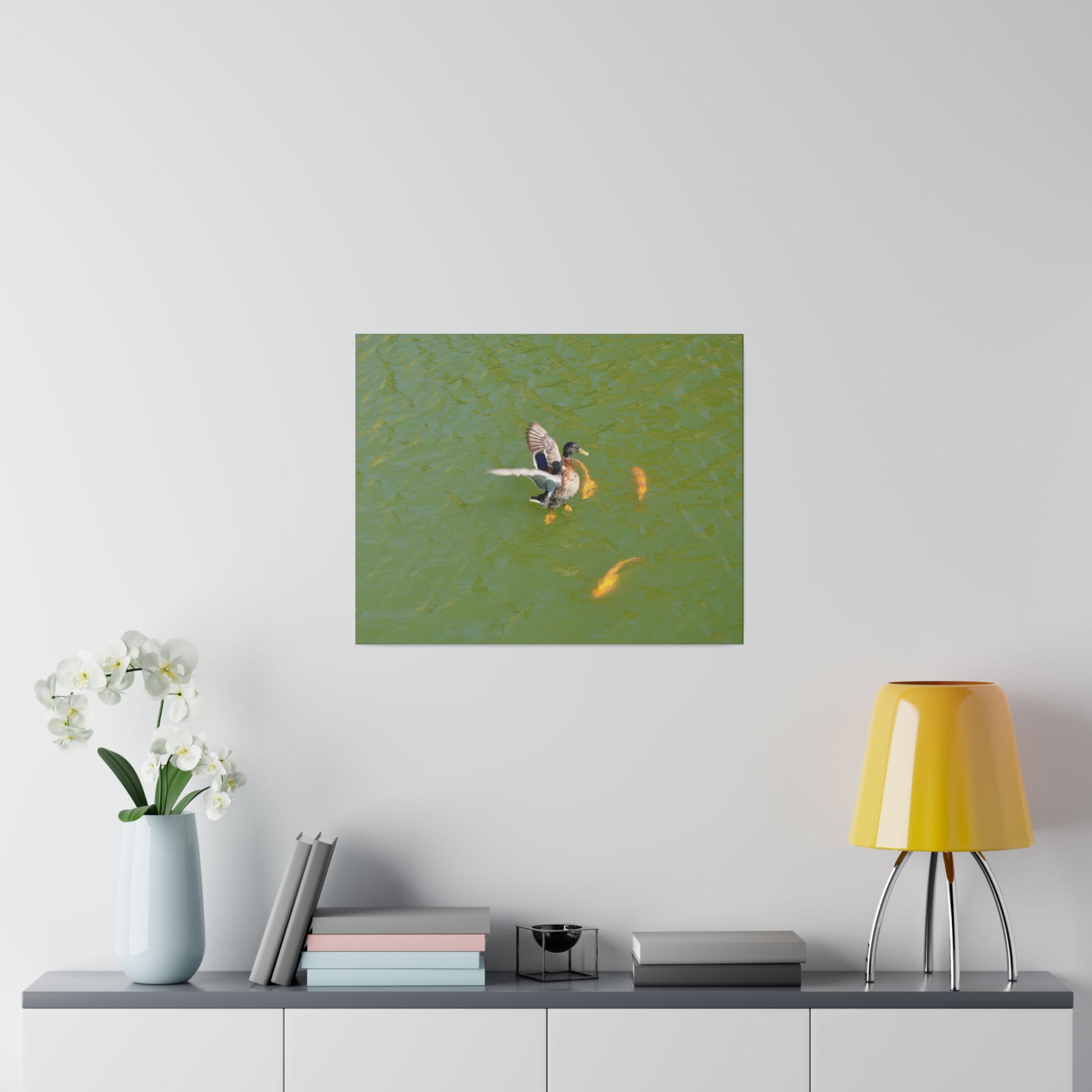 Male Duck Flapping It's Wings And Fish Canvas - The Trio Synergize Group