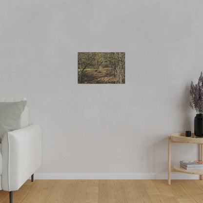 Woodland Landscape In Winter Canvas
