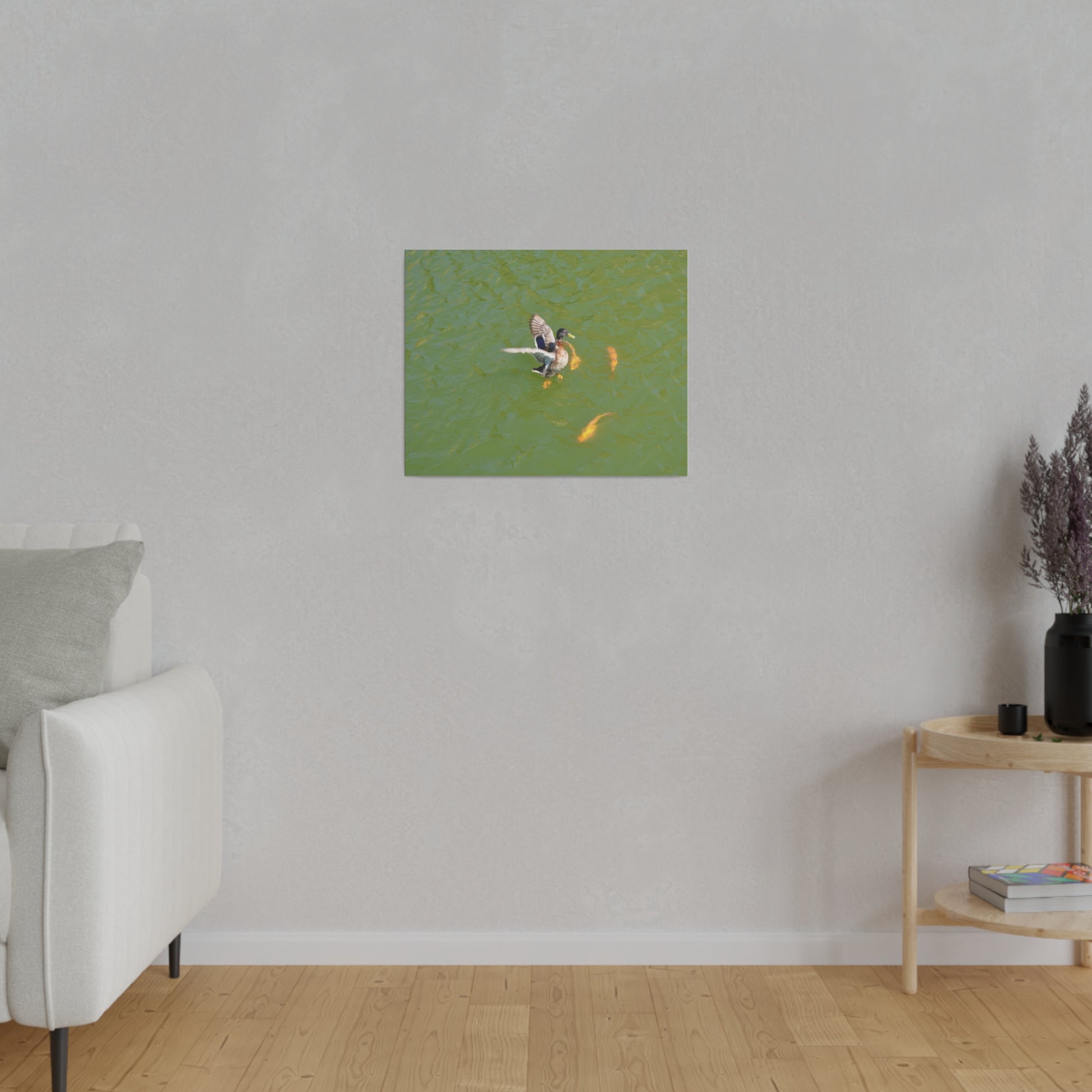 Male Duck Flapping It's Wings And Fish Canvas - The Trio Synergize Group
