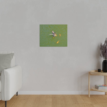 Male Duck Flapping It's Wings And Fish Canvas - The Trio Synergize Group