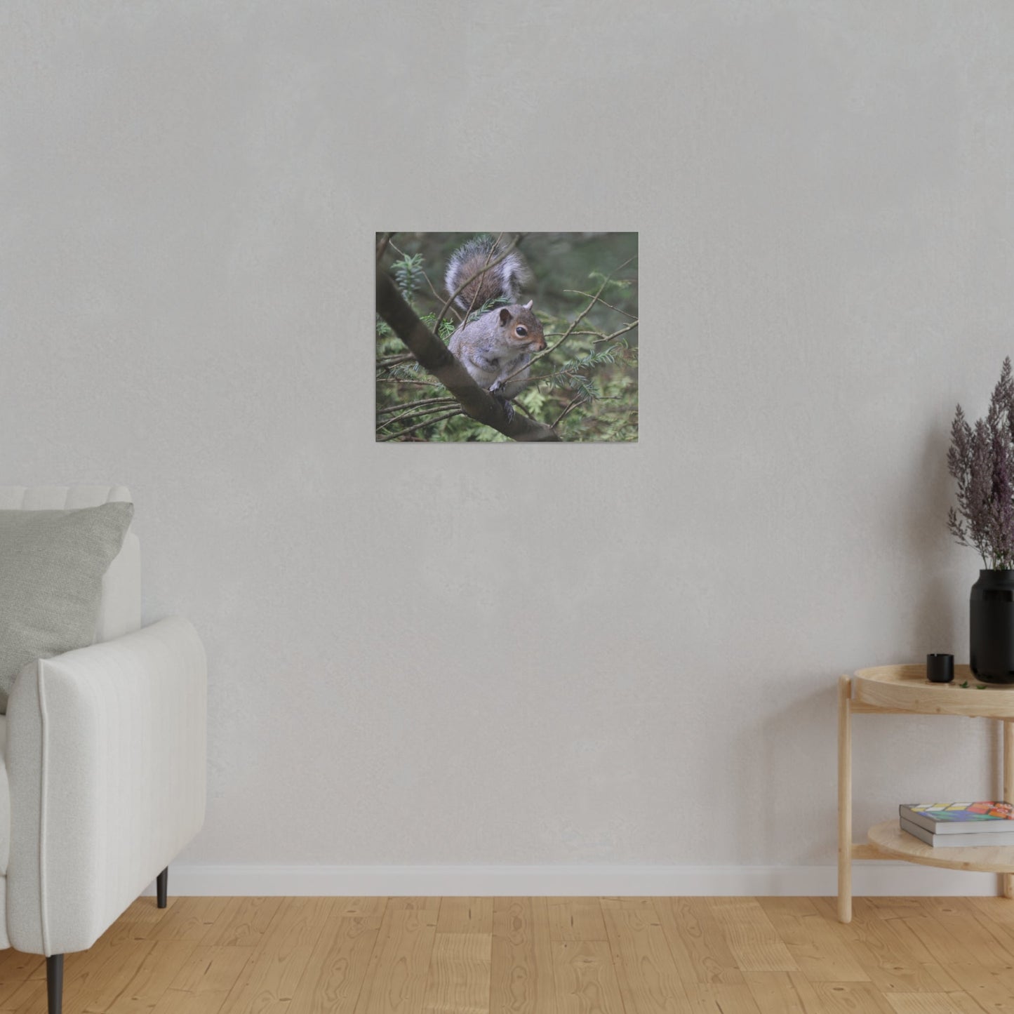 Canvas Print - A Squirrel In The Tree - The Trio Synergize Group