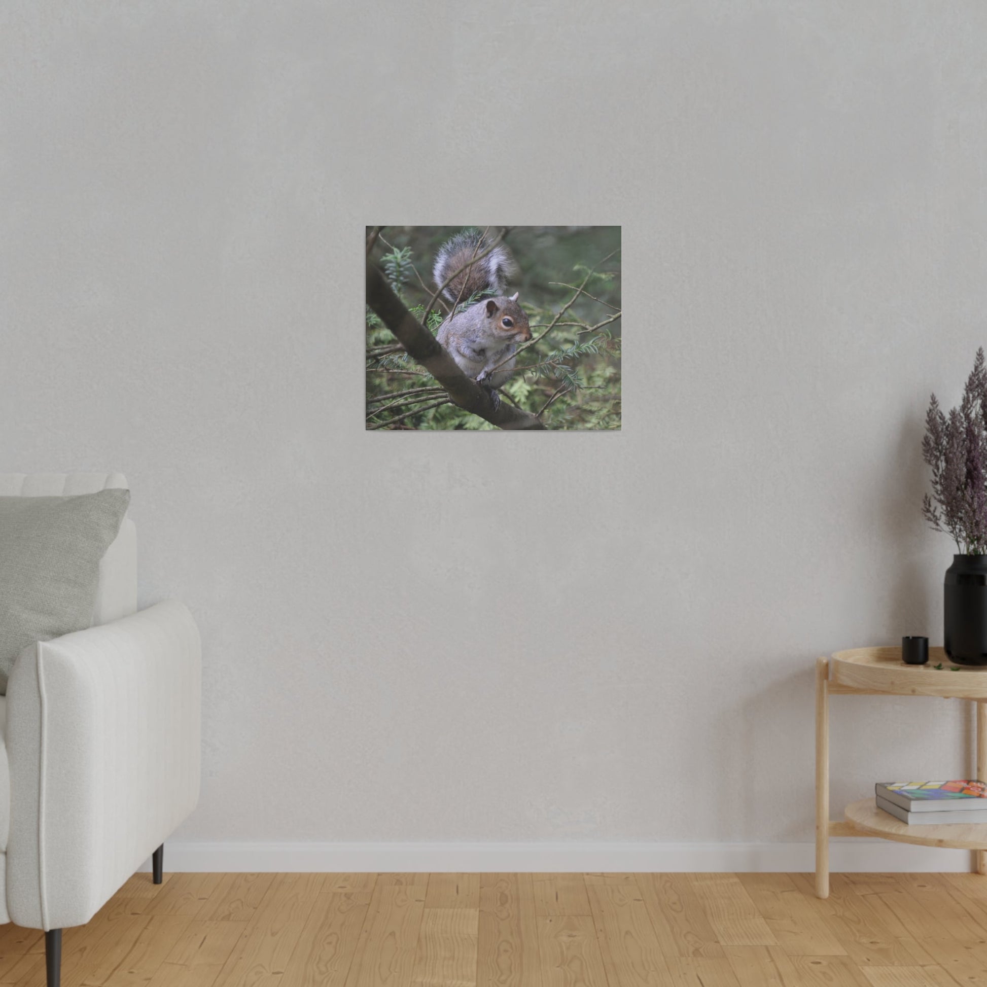 Canvas Print - A Squirrel In The Tree - The Trio Synergize Group