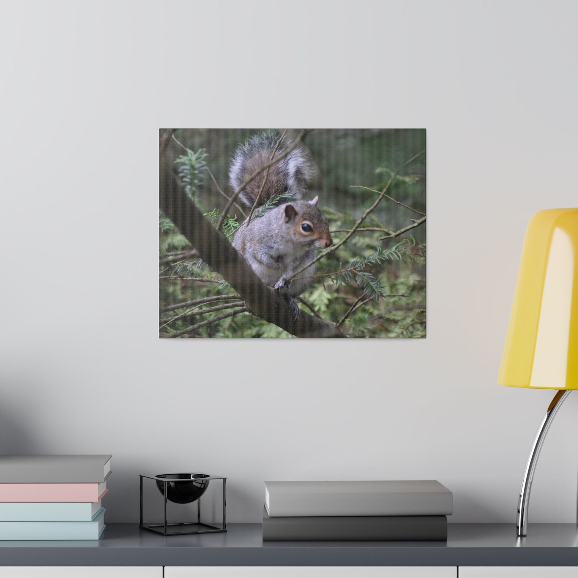 Canvas Print - A Squirrel In The Tree - The Trio Synergize Group