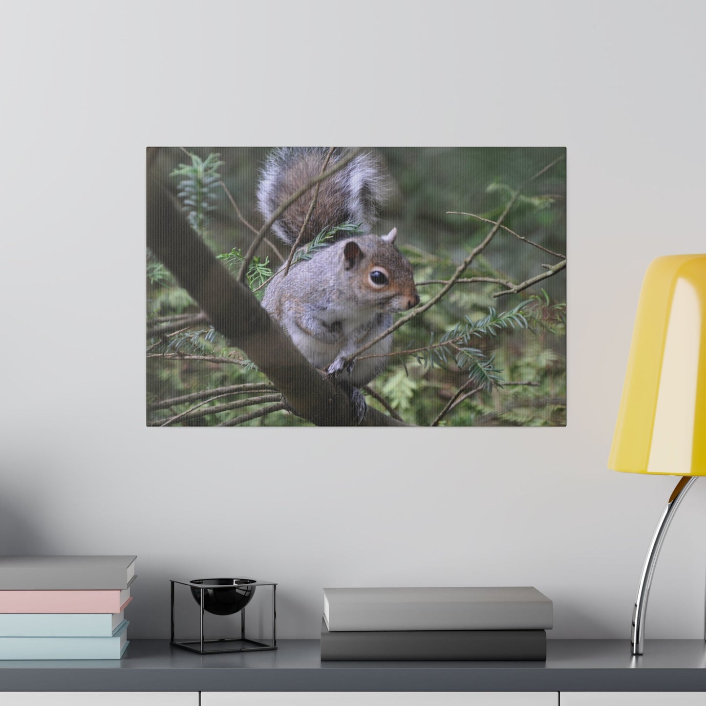 Canvas Print - A Squirrel In The Tree - The Trio Synergize Group
