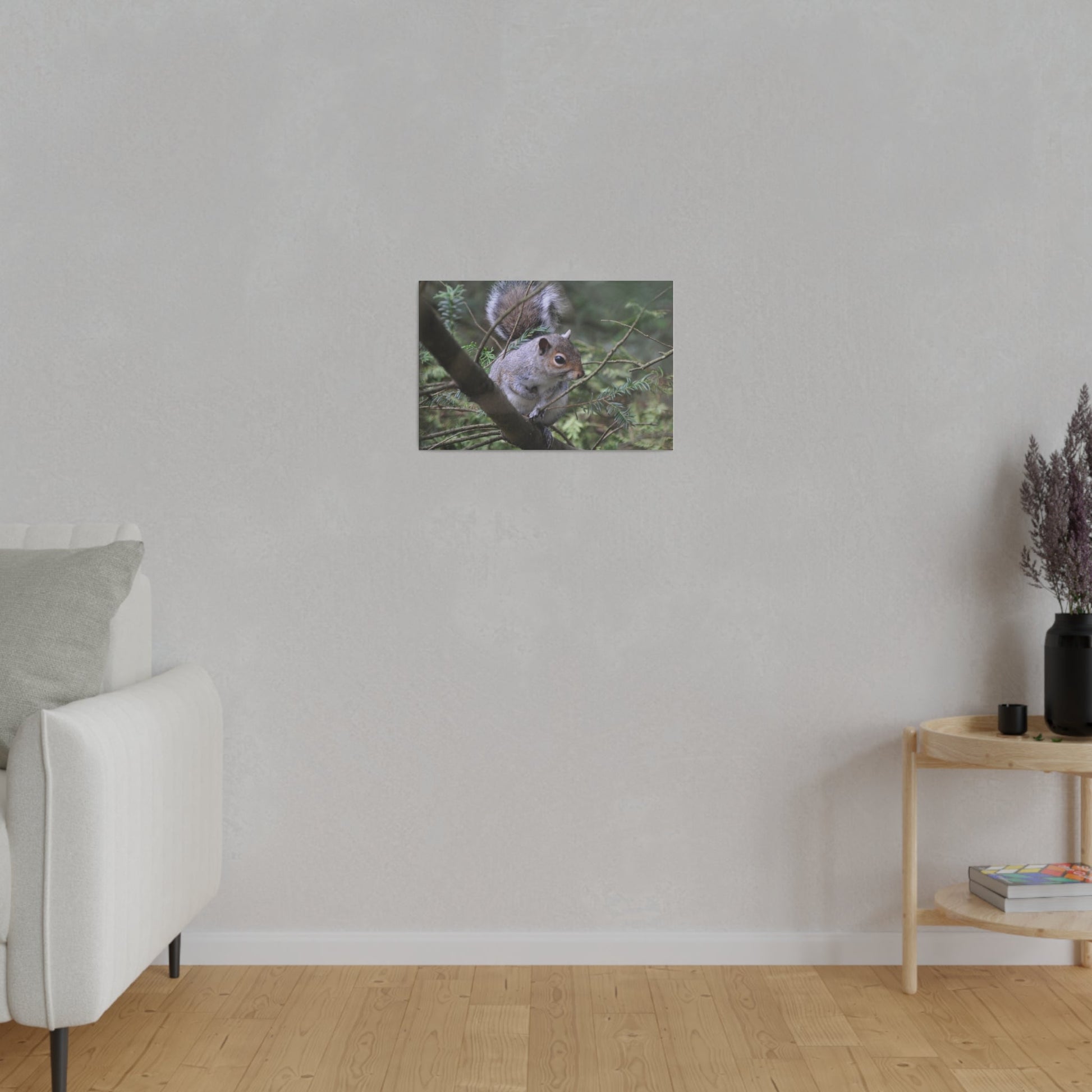 Canvas Print - A Squirrel In The Tree - The Trio Synergize Group
