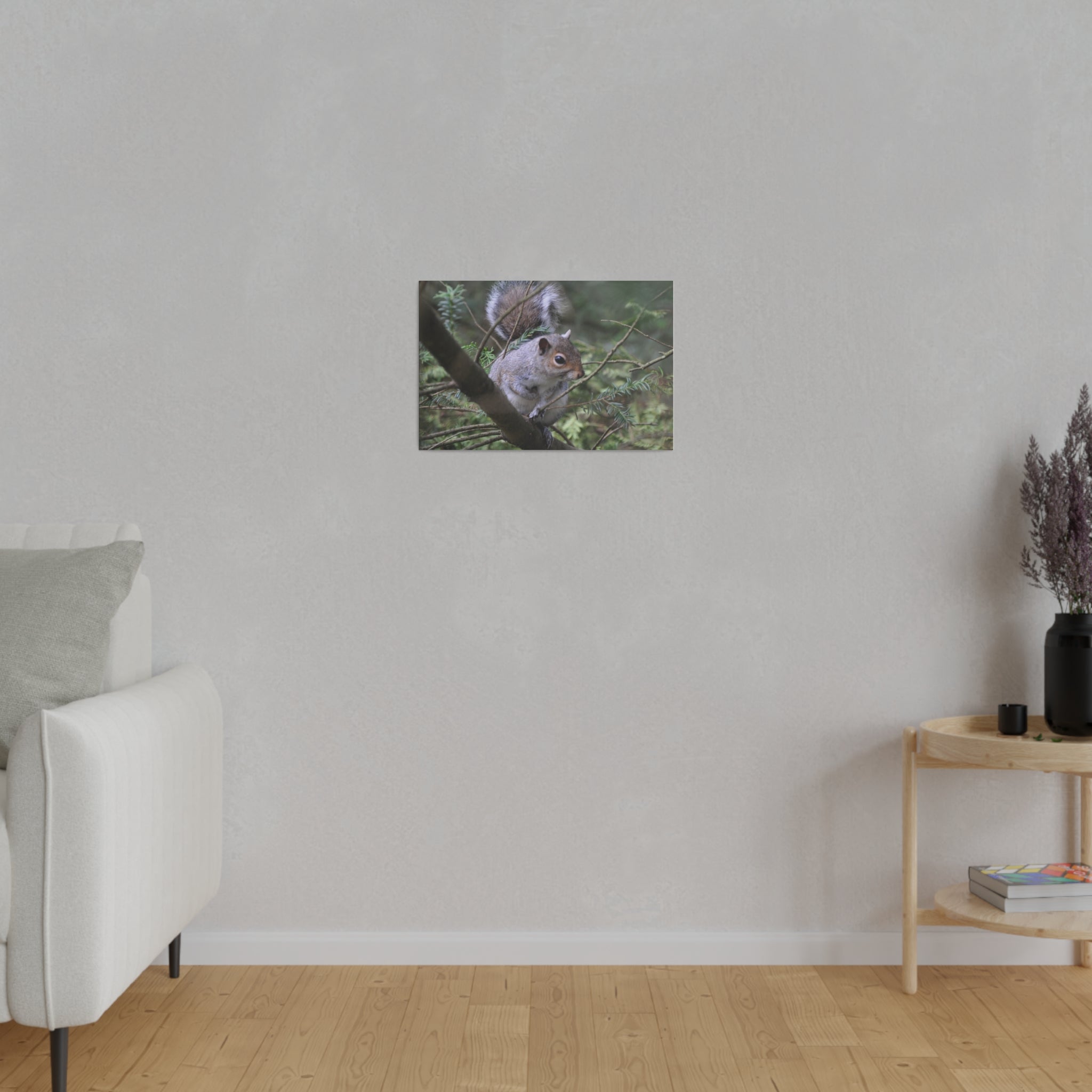Canvas Print - A Squirrel In The Tree - The Trio Synergize Group