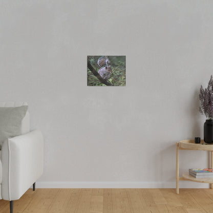 Canvas Print - A Squirrel In The Tree - The Trio Synergize Group