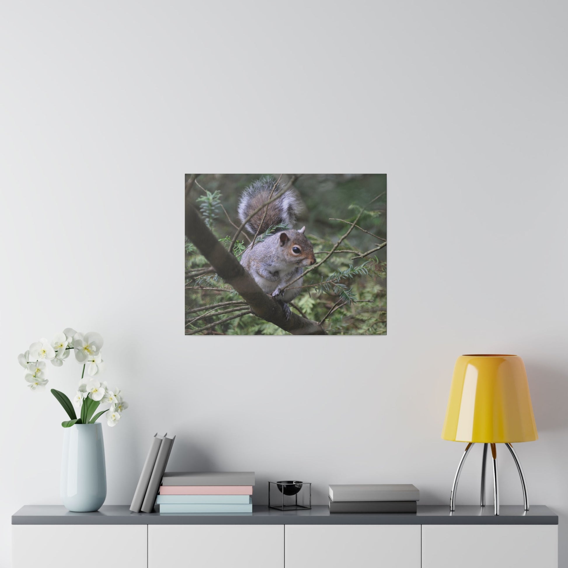 Canvas Print - A Squirrel In The Tree - The Trio Synergize Group