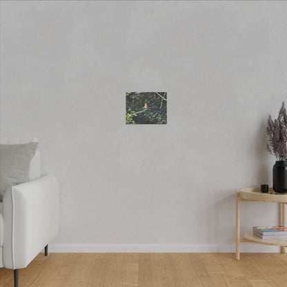 Adult Robin Looking To The Left Canvas - The Trio Synergize Group