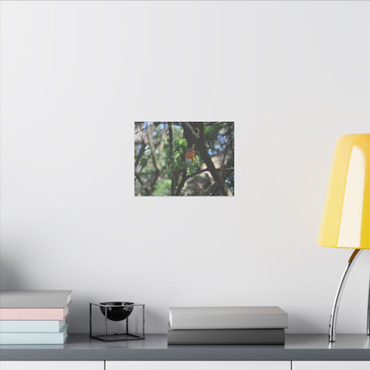 Adult Robin Looking To The Right Through The Trees Canvas - The Trio Synergize Group