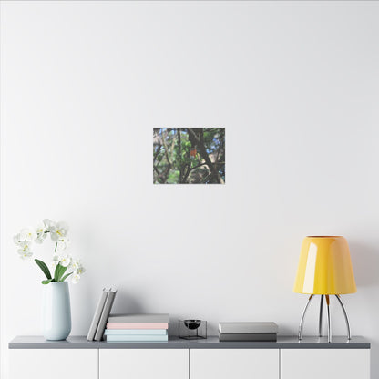Adult Robin Looking To The Right Through The Trees Canvas - The Trio Synergize Group