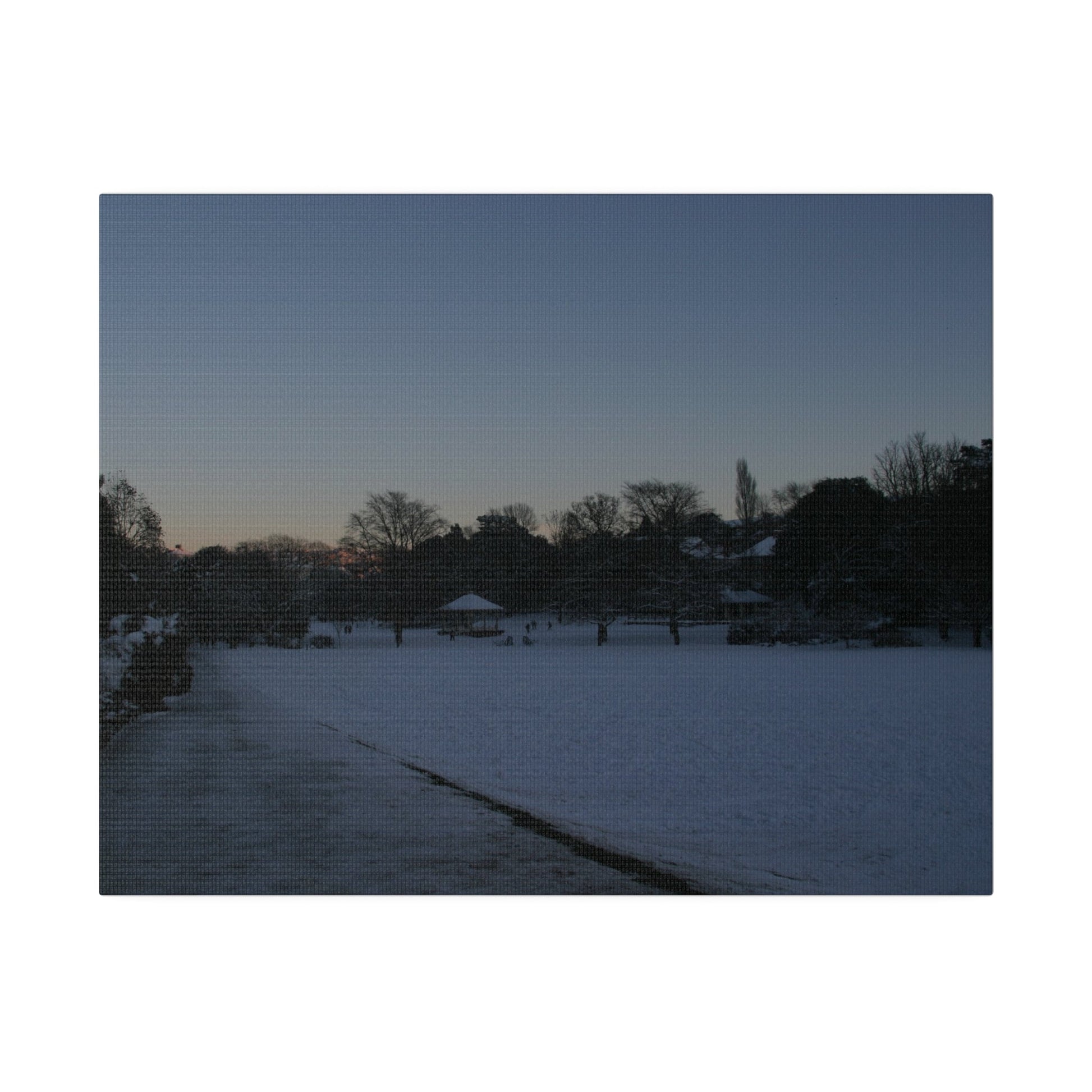 Alexandra Park In The Snow, Matte Canvas - The Trio Synergize Group