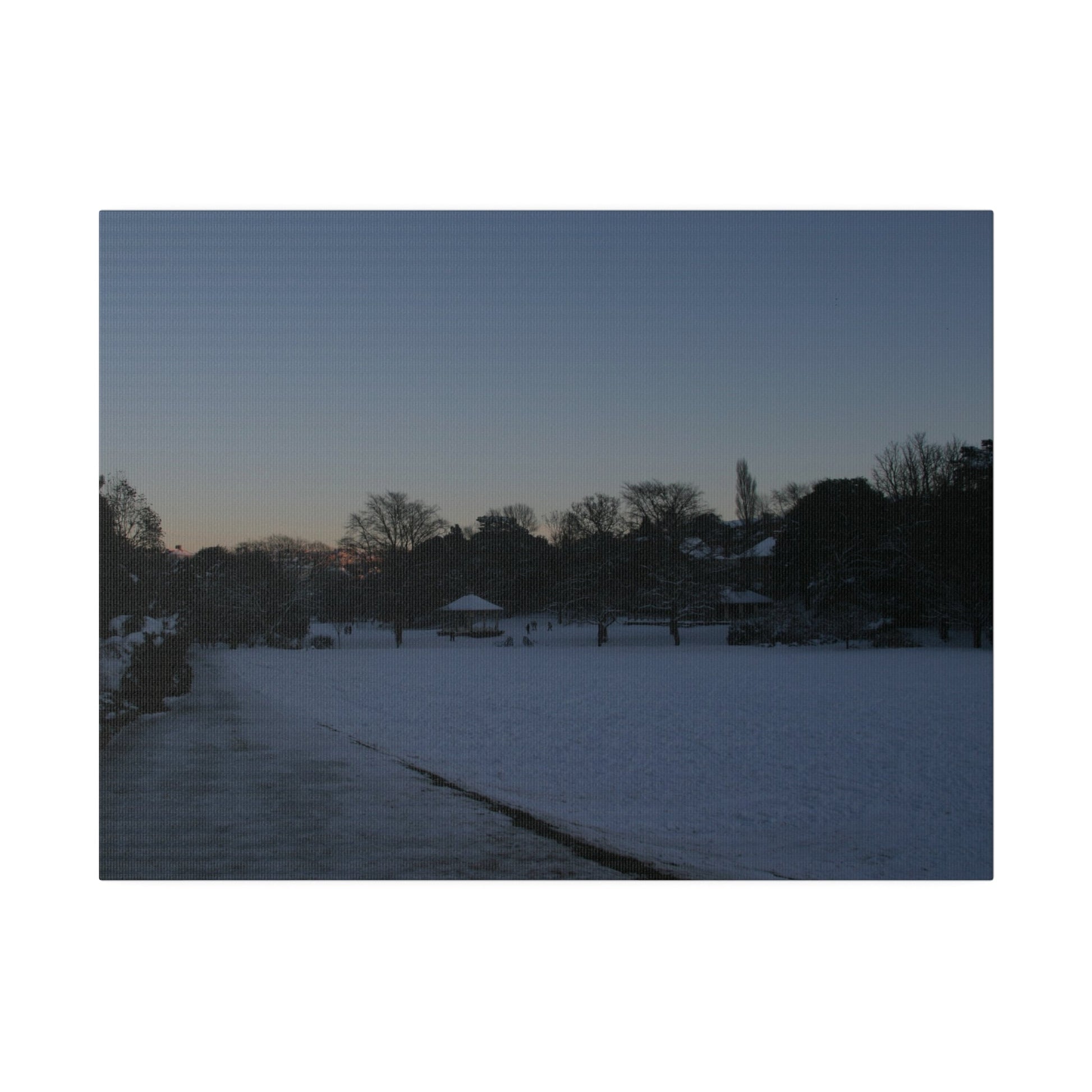 Alexandra Park In The Snow, Matte Canvas - The Trio Synergize Group