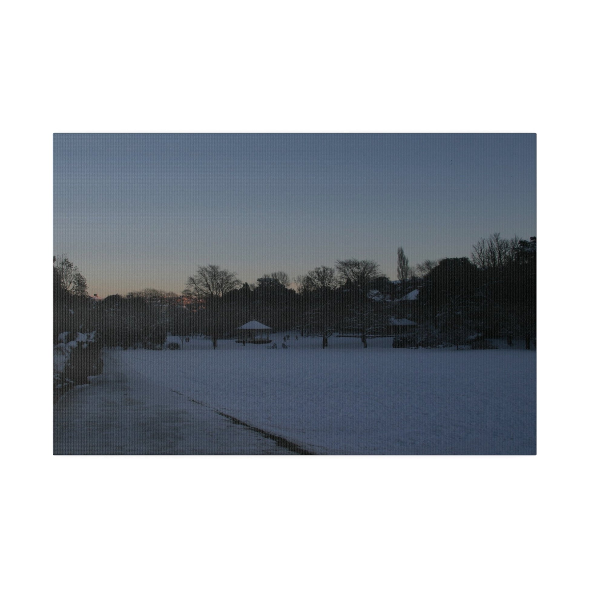 Alexandra Park In The Snow, Matte Canvas - The Trio Synergize Group