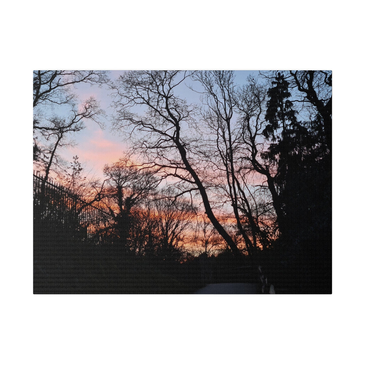 Alexandra Park Sunset Through The Trees Canvas - The Trio Synergize Group