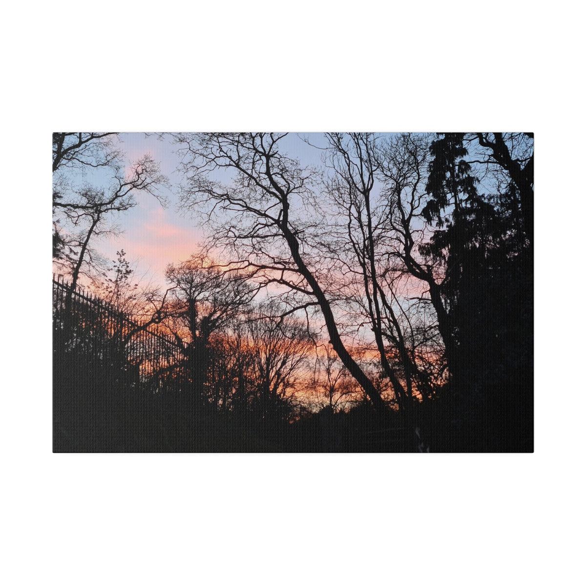 Alexandra Park Sunset Through The Trees Canvas - The Trio Synergize Group