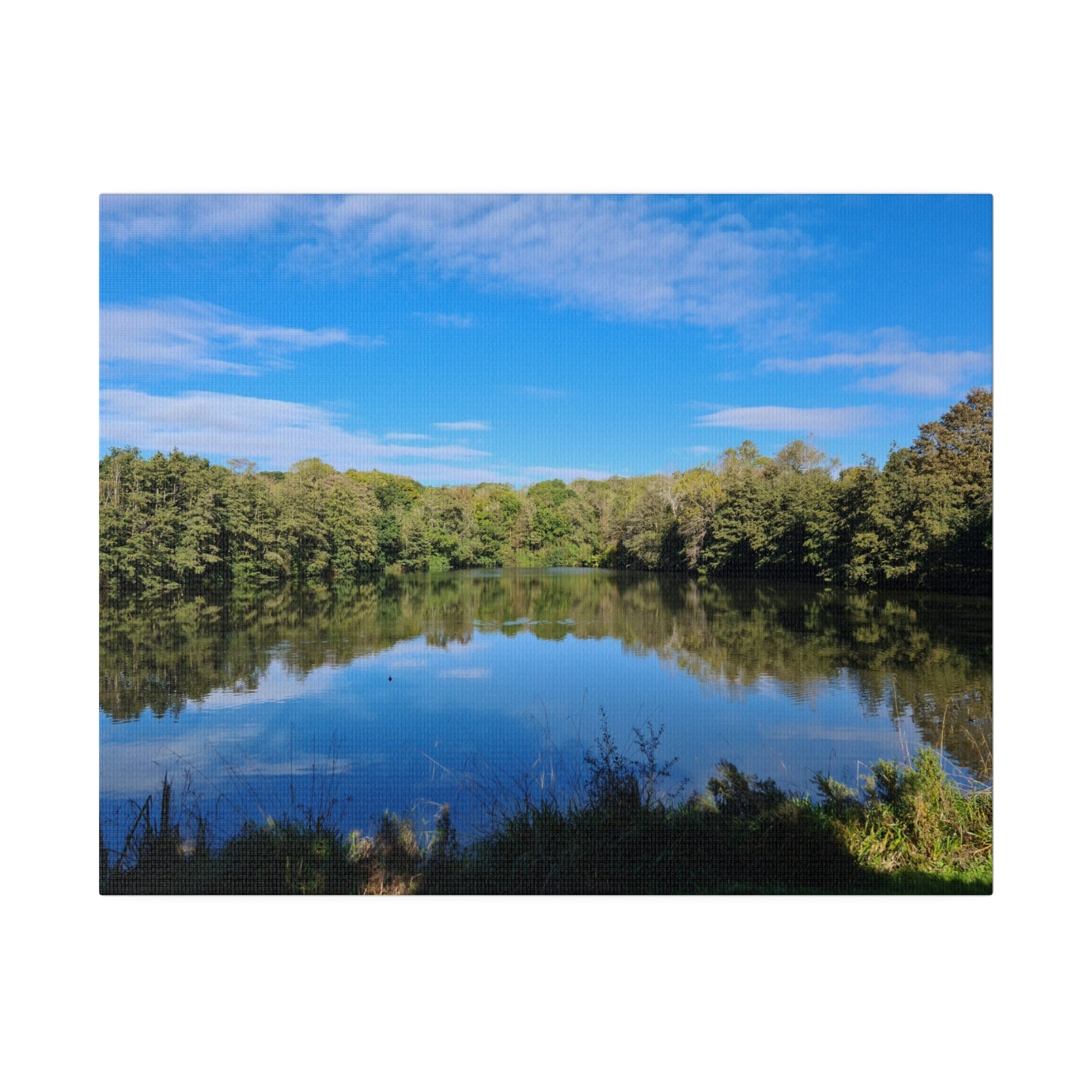 Alexandra Park Pond With Trees And Lovely Blue Sky With Clouds Canvas - The Trio Synergize Group