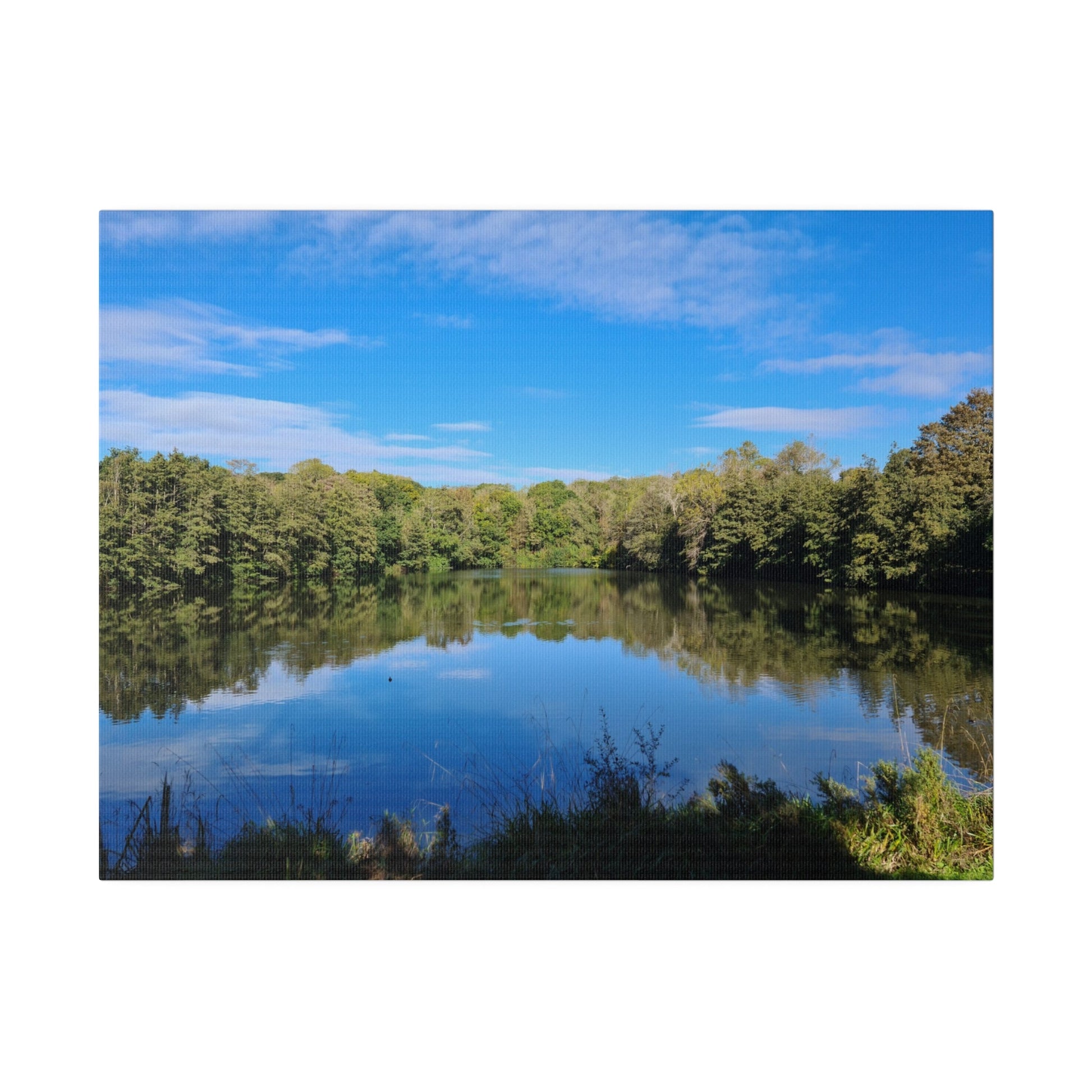 Alexandra Park Pond With Trees And Lovely Blue Sky With Clouds Canvas - The Trio Synergize Group