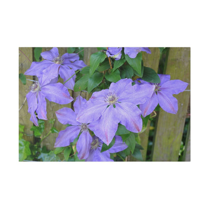 Cluster Of Purple Asian Virginsbower Canvas - The Trio Synergize Group