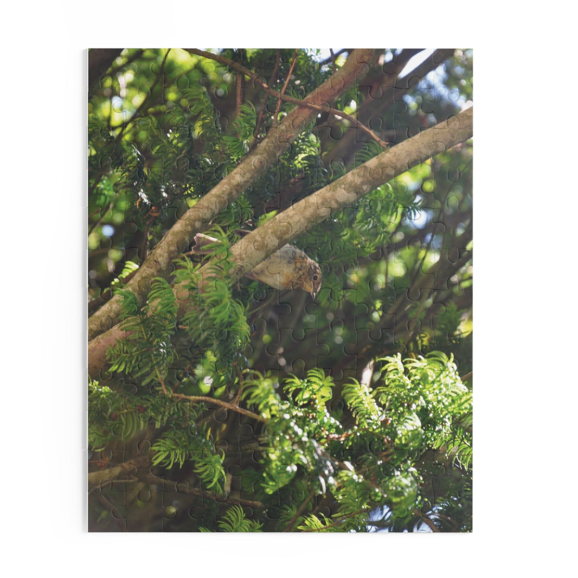 Baby Robin Sitting On A Branch Puzzle - The Trio Synergize Group