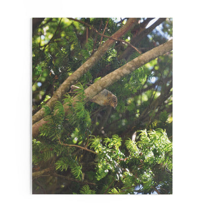 Baby Robin Sitting On A Branch Puzzle - The Trio Synergize Group