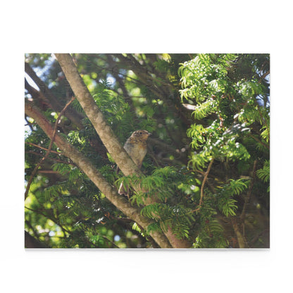 Baby Robin Sitting On A Branch Puzzle - The Trio Synergize Group