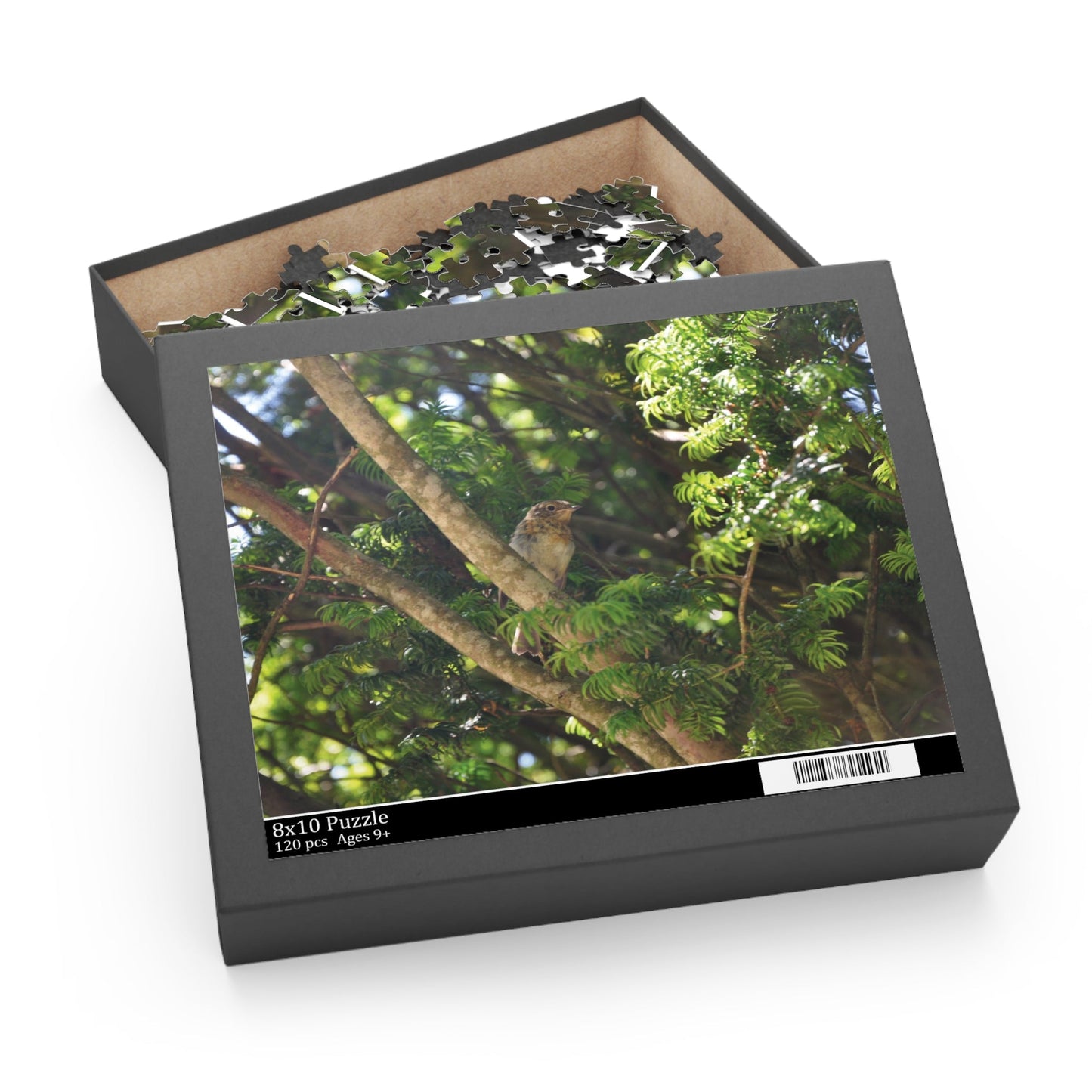 Baby Robin Sitting On A Branch Puzzle - The Trio Synergize Group