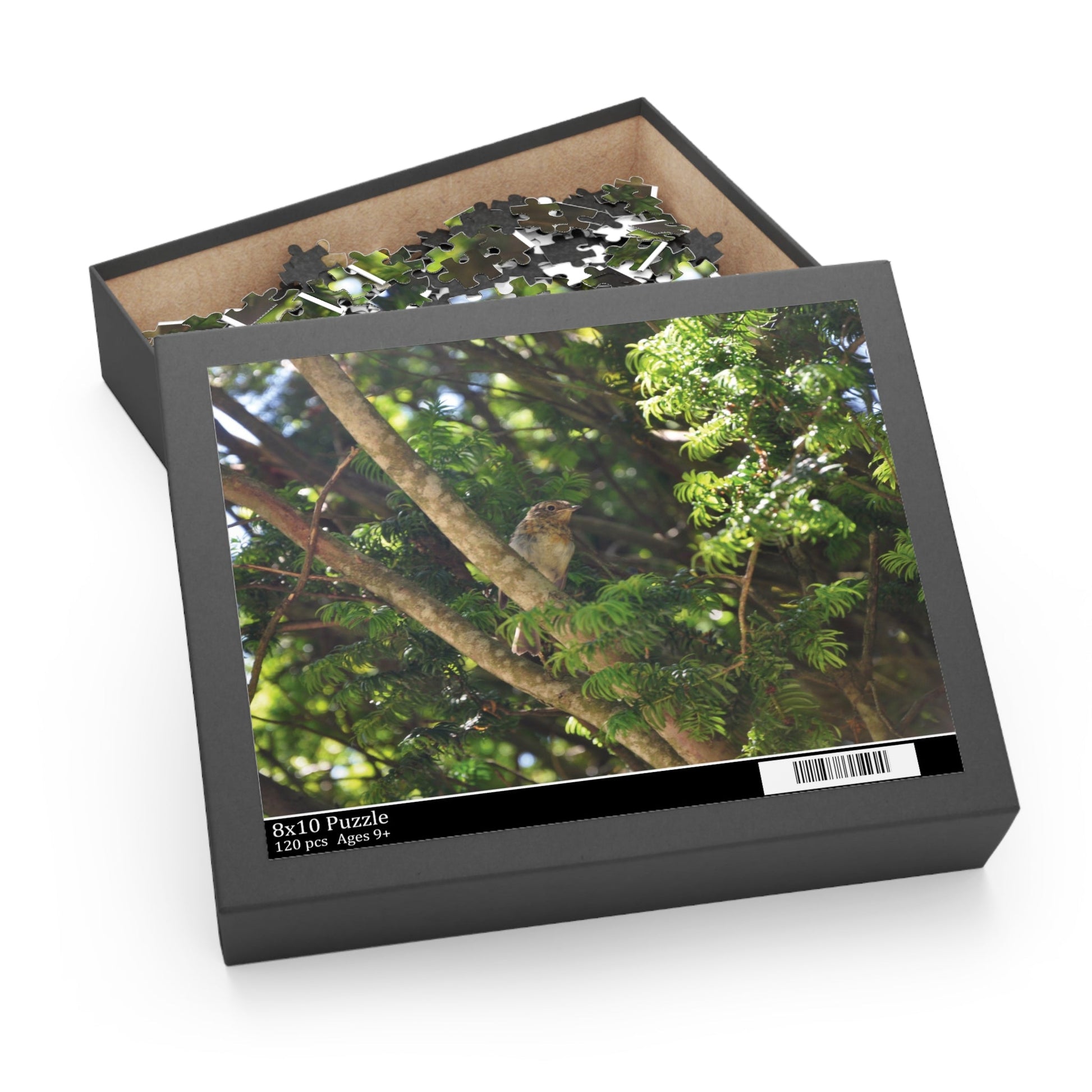 Baby Robin Sitting On A Branch Puzzle - The Trio Synergize Group