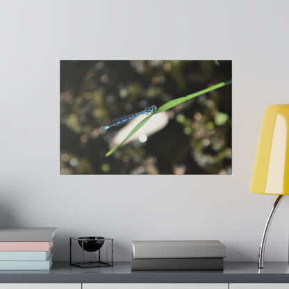 Blue Damselfly Resting Over A Pond Blurred Background Canvas - The Trio Synergize Group