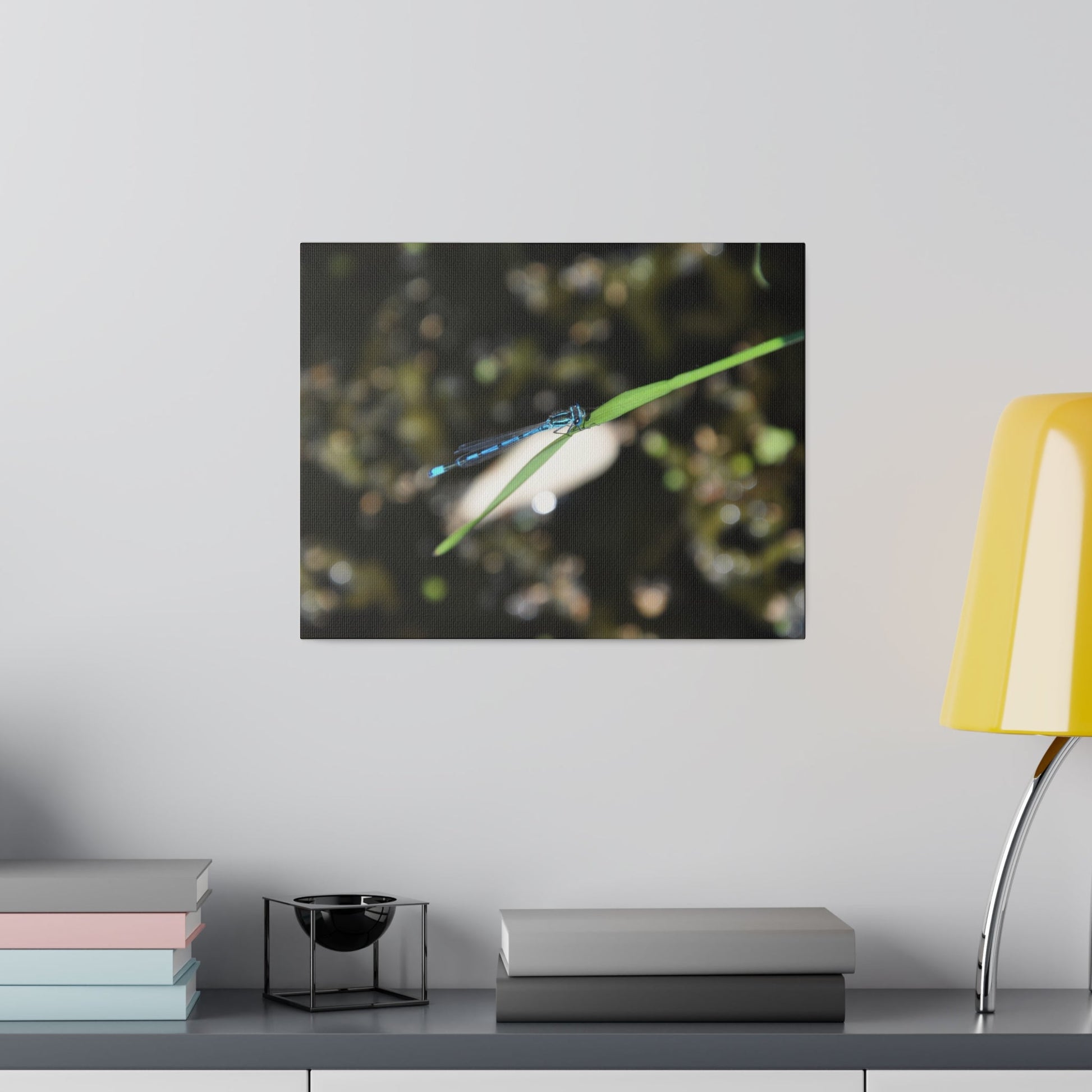 Blue Damselfly Resting Over A Pond Blurred Background Canvas - The Trio Synergize Group