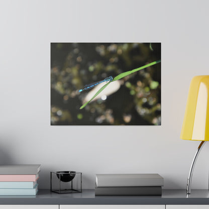 Blue Damselfly Resting Over A Pond Blurred Background Canvas - The Trio Synergize Group