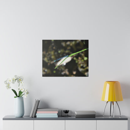 Blue Damselfly Resting Over A Pond Blurred Background Canvas - The Trio Synergize Group