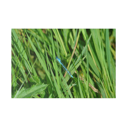 Blue Damselfly Resting, Matte Canvas, Stretched, 0.75" - The Trio Synergize Group
