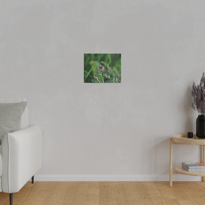Bumblebee On A Flower, Matte Canvas, Stretched, 0.75" - The Trio Synergize Group