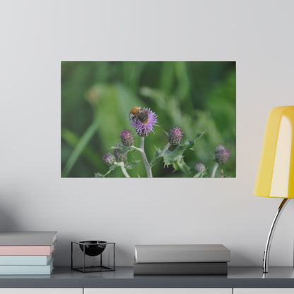 Bumblebee On A Flower, Matte Canvas, Stretched, 0.75" - The Trio Synergize Group