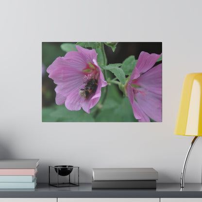Bumblebee On A Flower, Matte Canvas, Stretched, 0.75" - The Trio Synergize Group