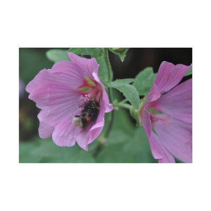 Bumblebee On A Flower, Matte Canvas, Stretched, 0.75" - The Trio Synergize Group