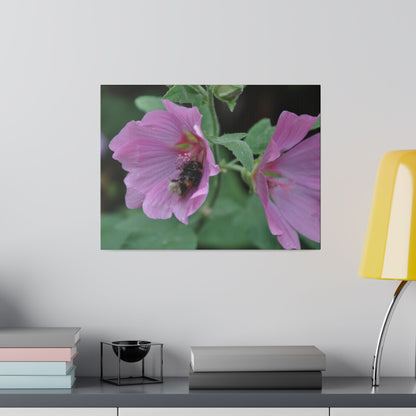 Bumblebee On A Flower, Matte Canvas, Stretched, 0.75" - The Trio Synergize Group
