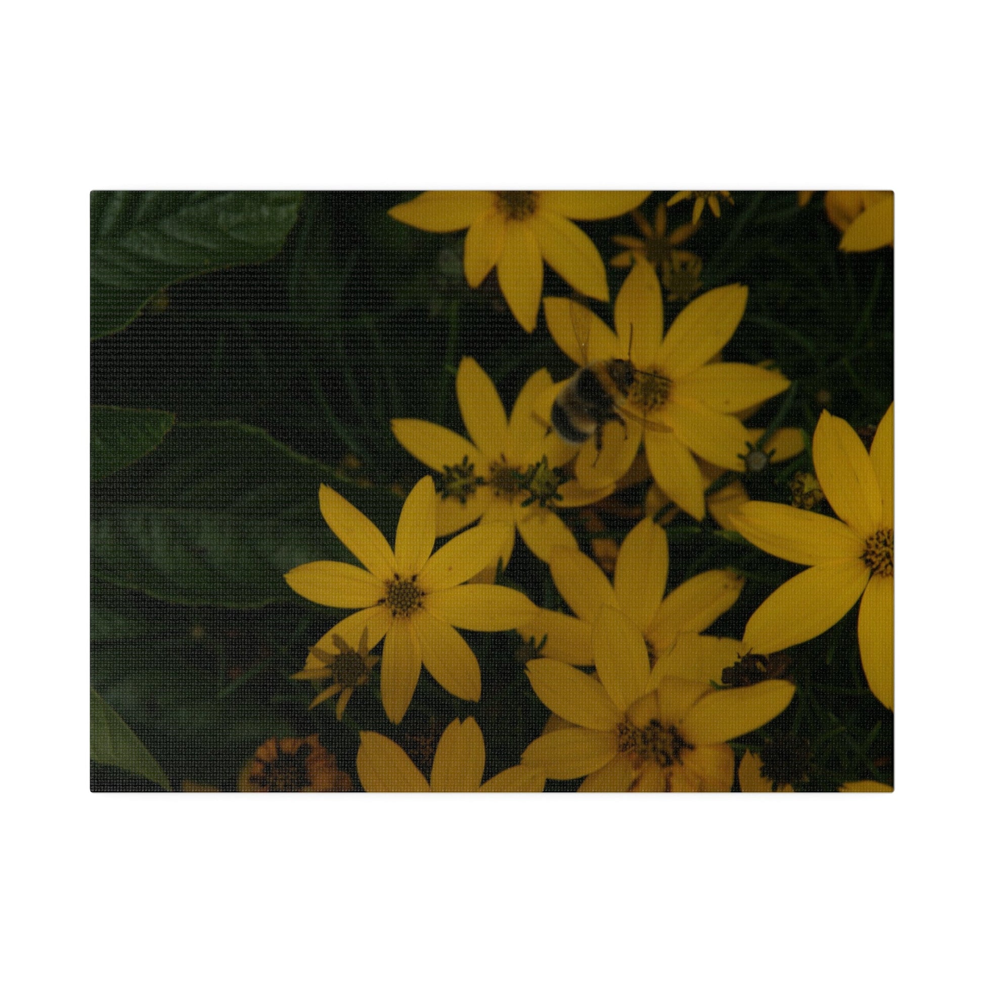 Bumblebee on Flower, Matte Canvas, Stretched, 0.75" - The Trio Synergize Group