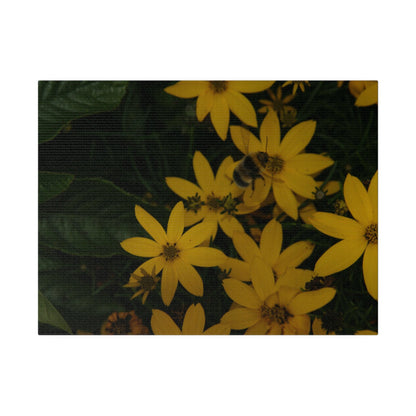 Bumblebee on Flower, Matte Canvas, Stretched, 0.75" - The Trio Synergize Group