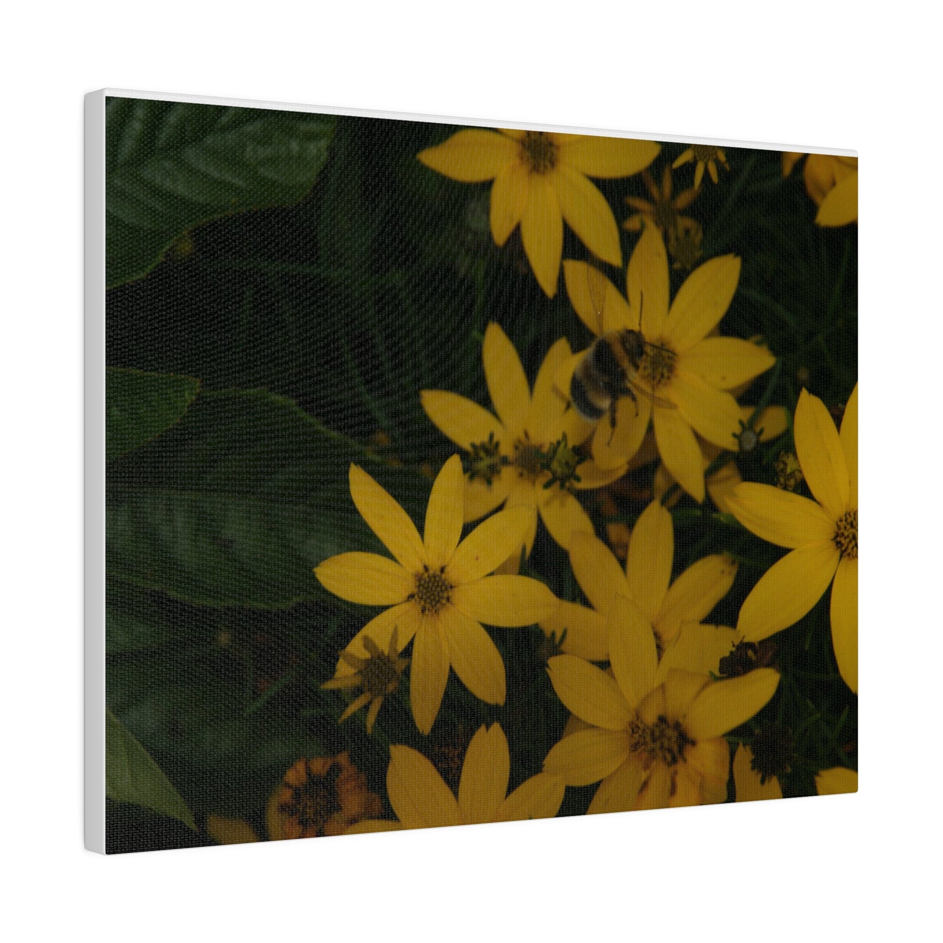 Bumblebee on Flower, Matte Canvas, Stretched, 0.75" - The Trio Synergize Group