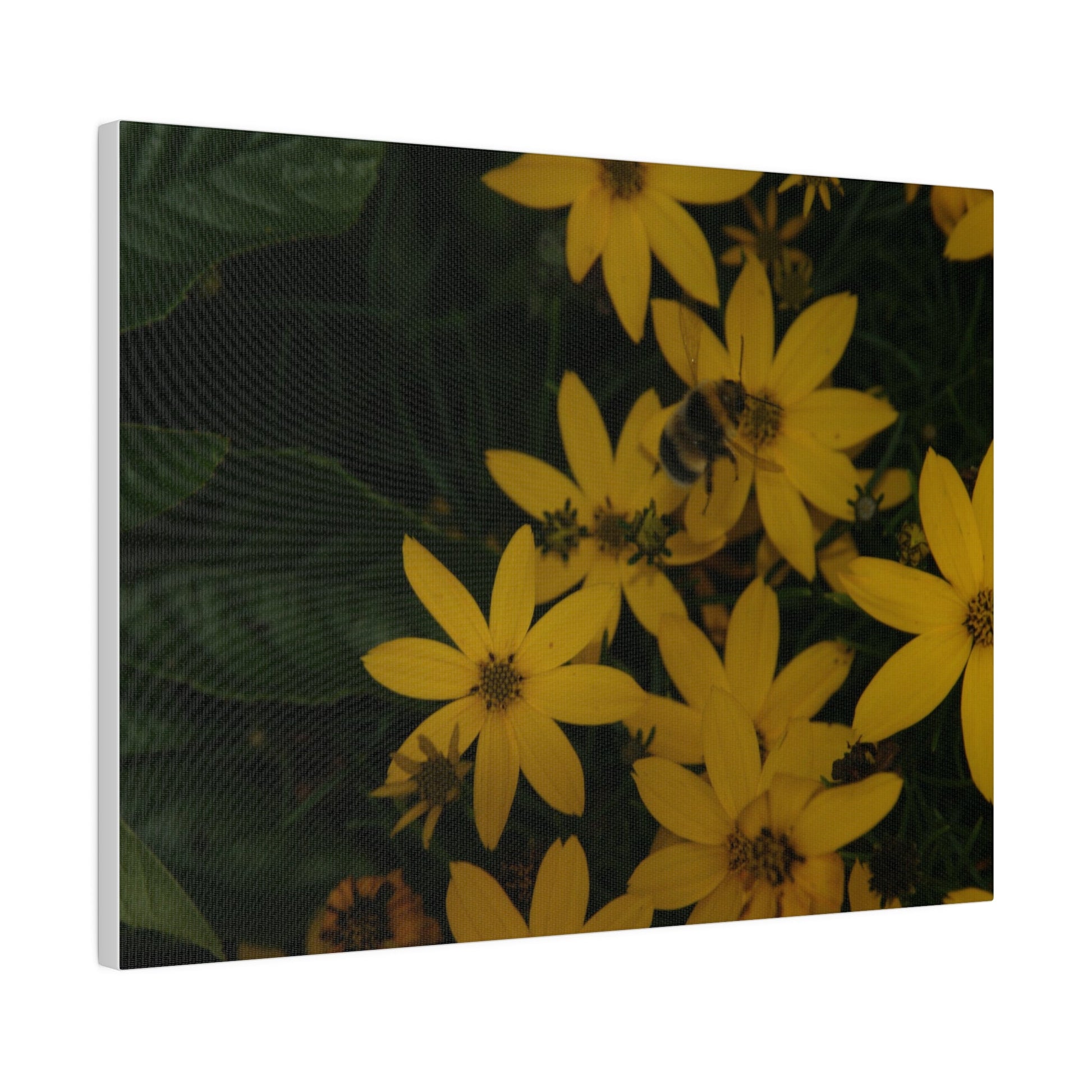 Bumblebee on Flower, Matte Canvas, Stretched, 0.75" - The Trio Synergize Group