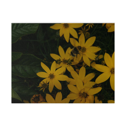 Bumblebee on Flower, Matte Canvas, Stretched, 0.75" - The Trio Synergize Group