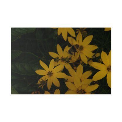 Bumblebee on Flower, Matte Canvas, Stretched, 0.75" - The Trio Synergize Group