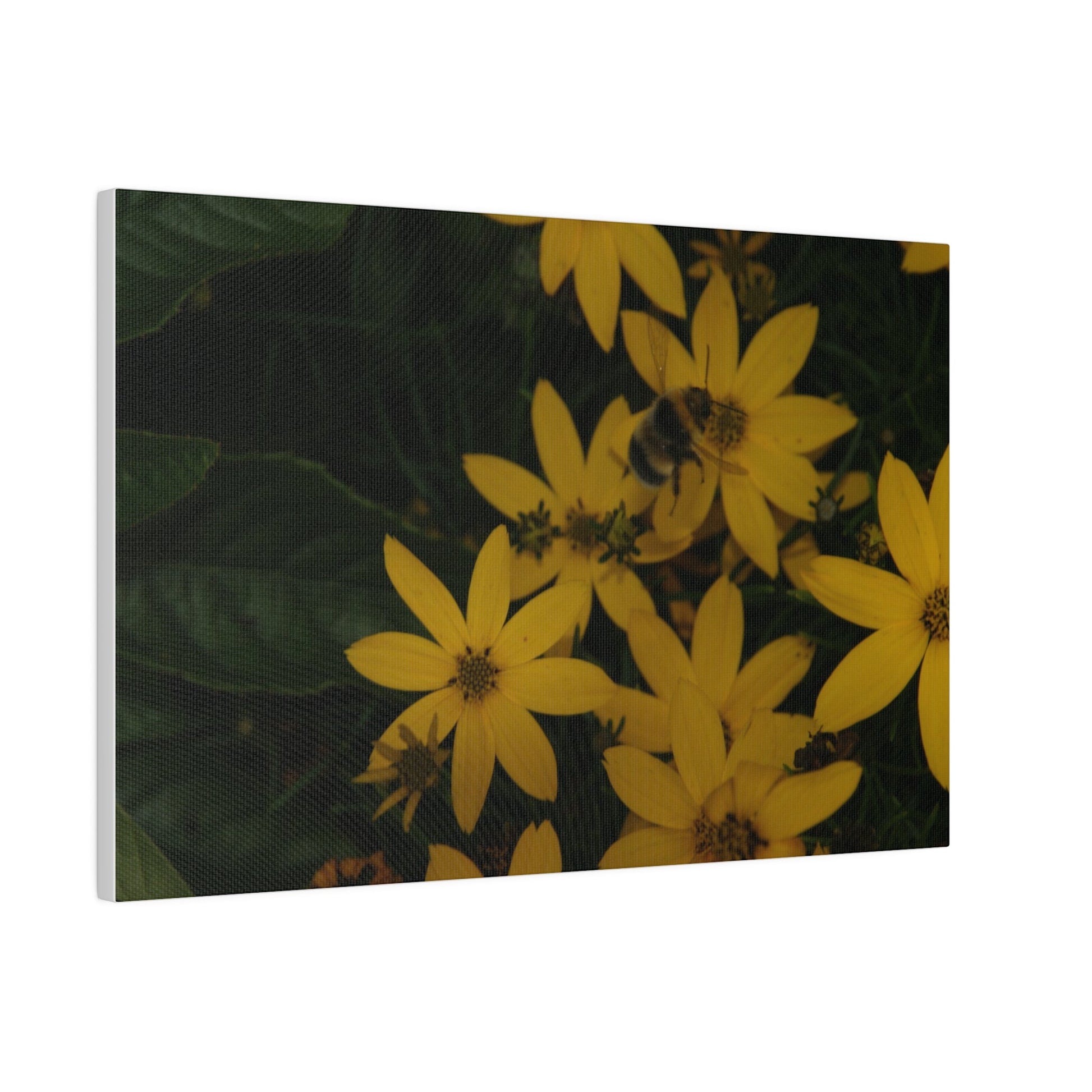 Bumblebee on Flower, Matte Canvas, Stretched, 0.75" - The Trio Synergize Group